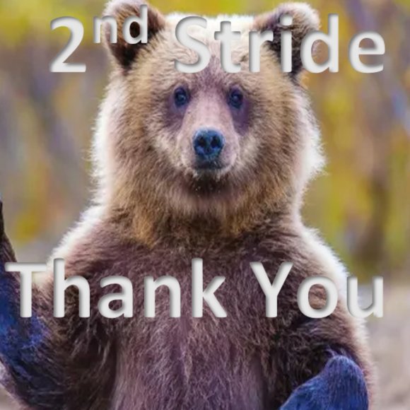 Meet your Poshers, Nikos & Kitten - Picture 3 of 3